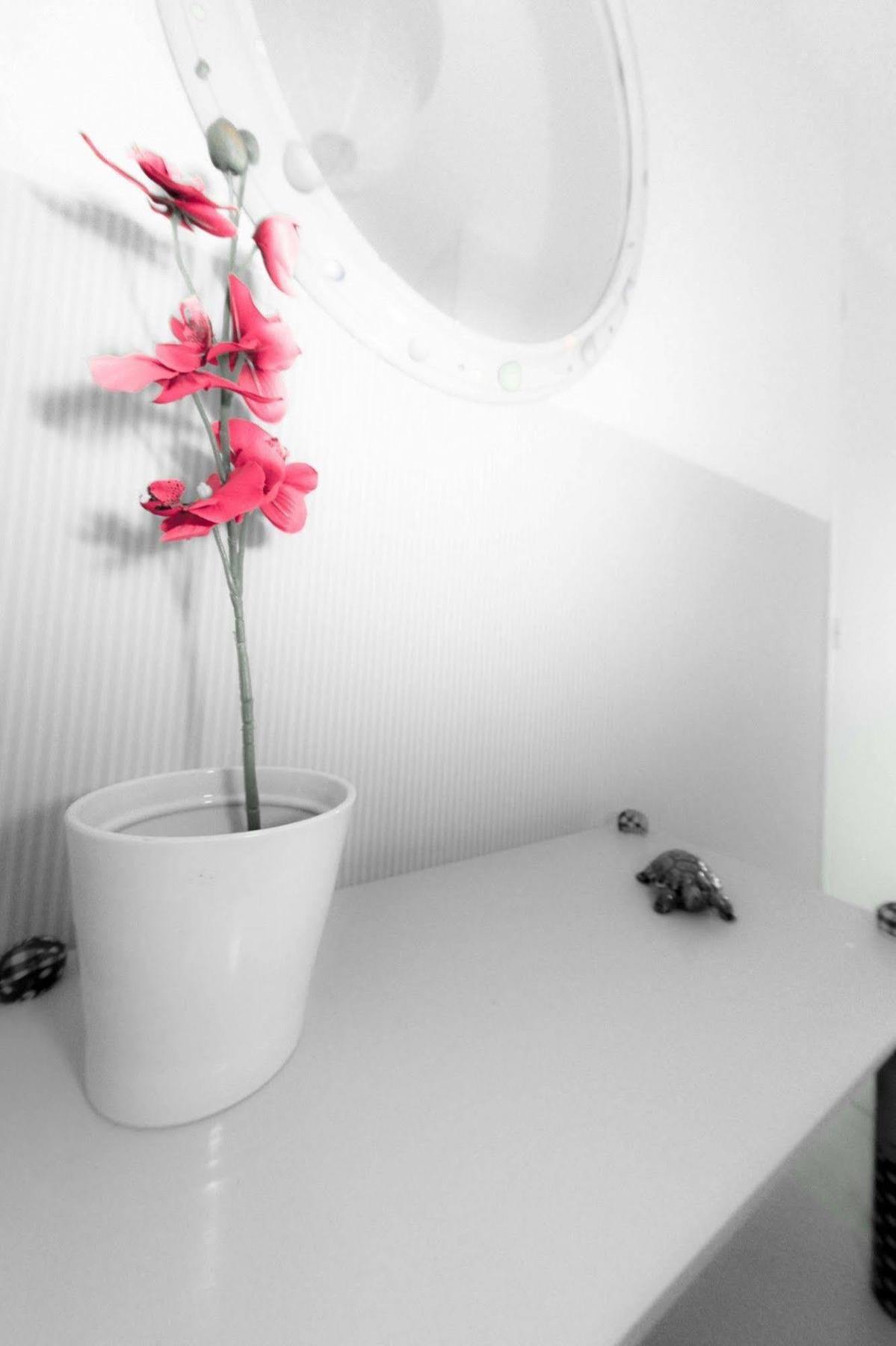 Coquelicots *