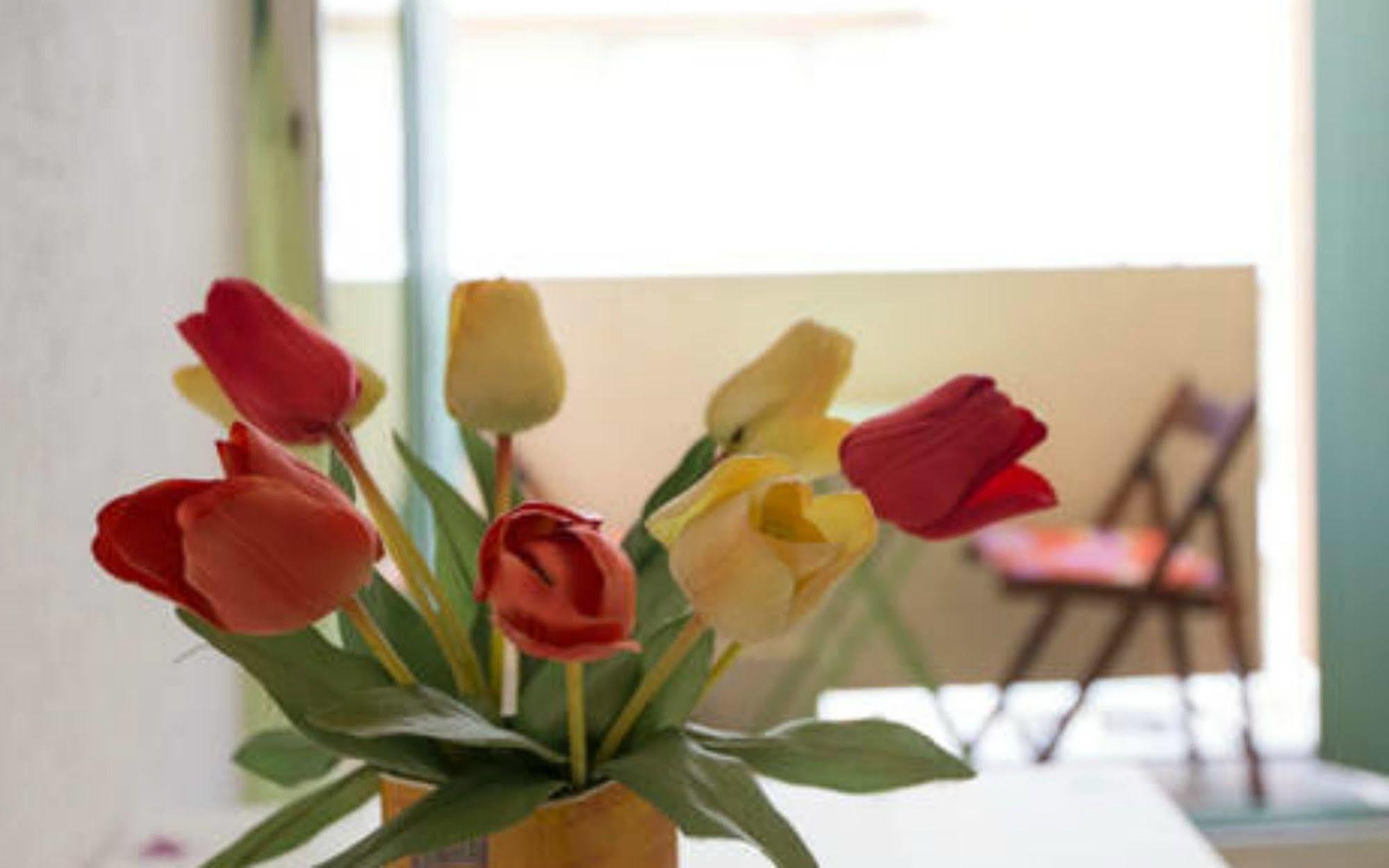 Apartment Coquelicots Nice